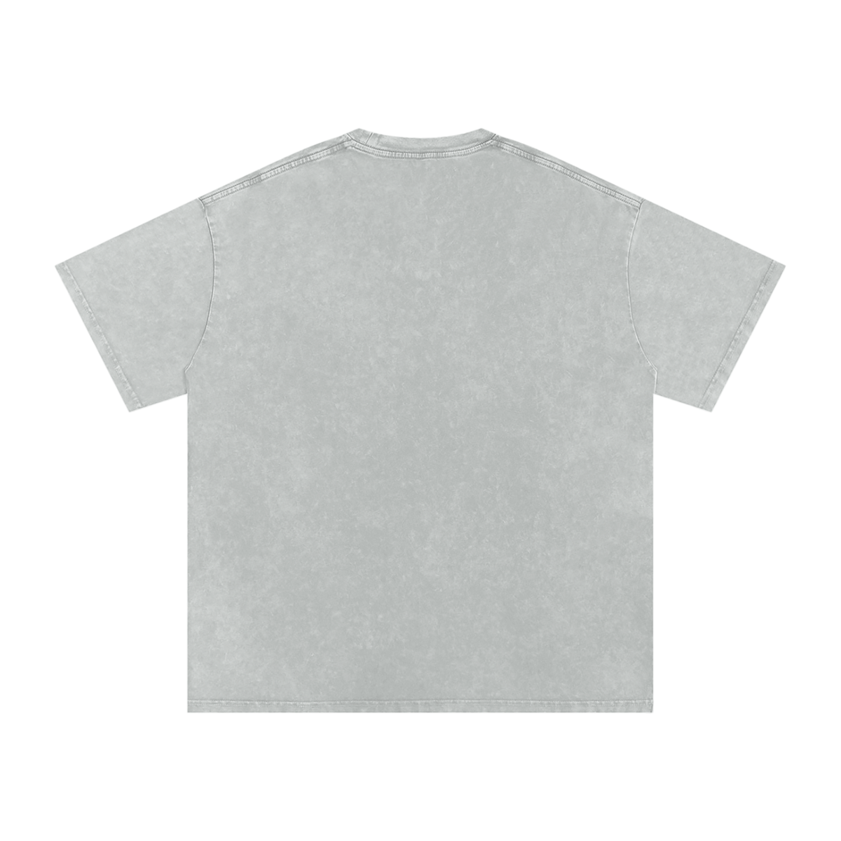 (PWD) Snow Washed Oversized Cotton T-Shirt - We Are